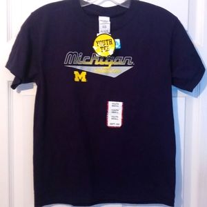 michigan wolverines